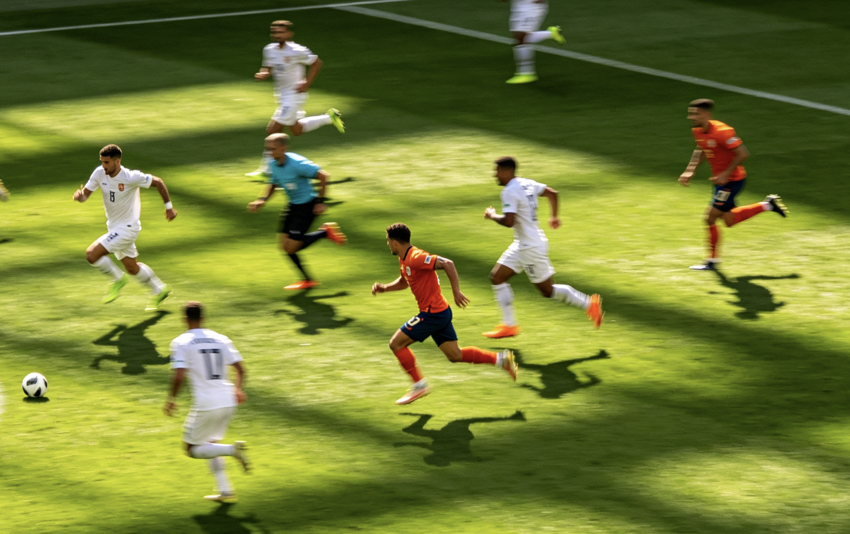 赵雪